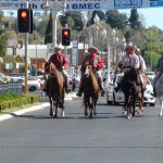 Bathurst re-enactment. Horses at traffic lights.